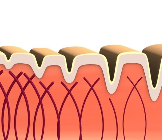 Collagen: what it is and what it is for