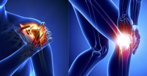 joint nutrition supplements